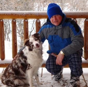 Bella - Border collie